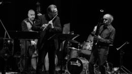 Giuseppe Nova e Rino Vernizzi Jazz Trio-(foto DavideTarozzi)